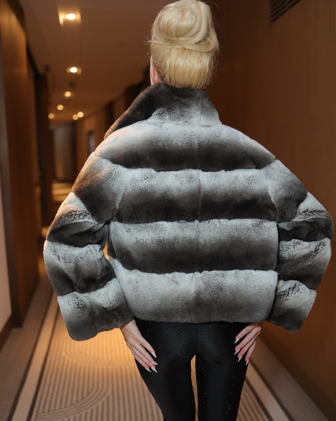 CHINCHILLA REX COAT